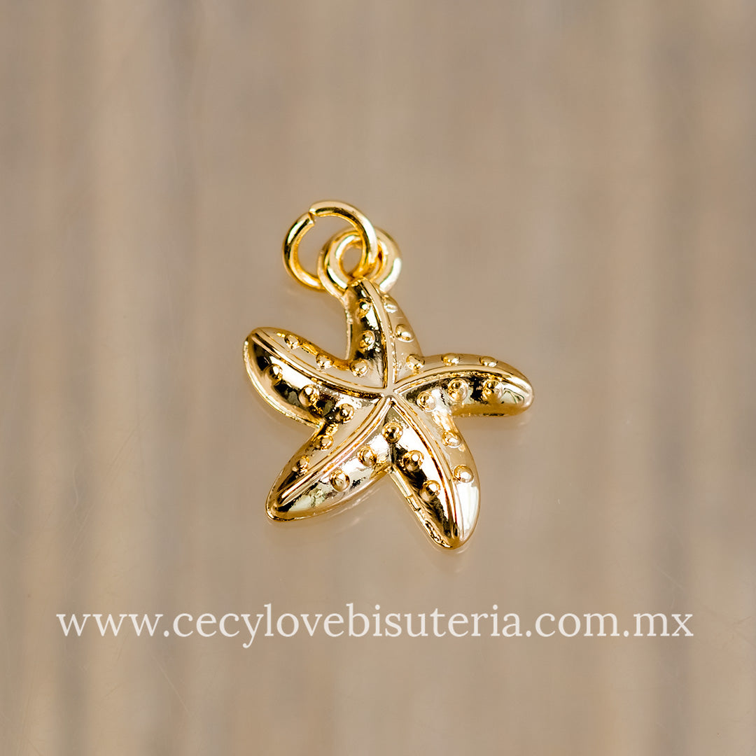Dije Estrella de Mar