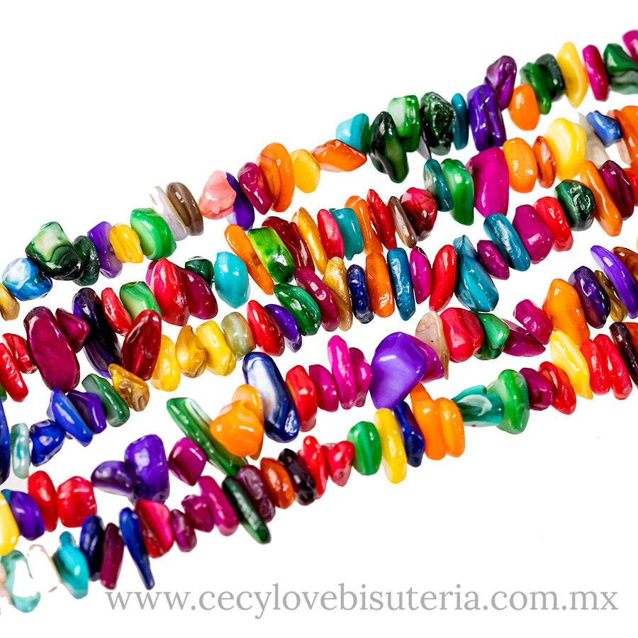 Concha Chip Multicolor