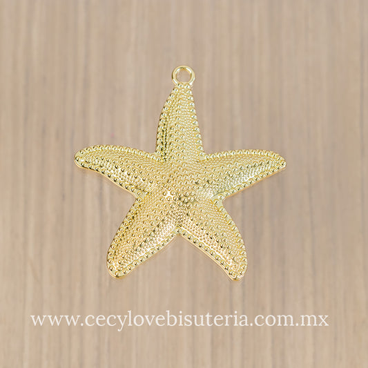Dije Estrella de Mar Grande