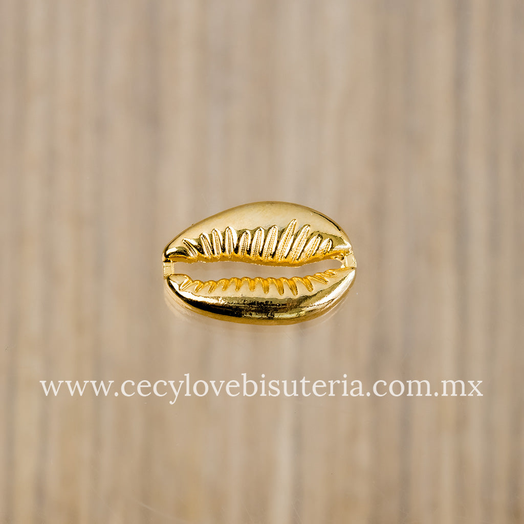 Conector / Dije Cauri