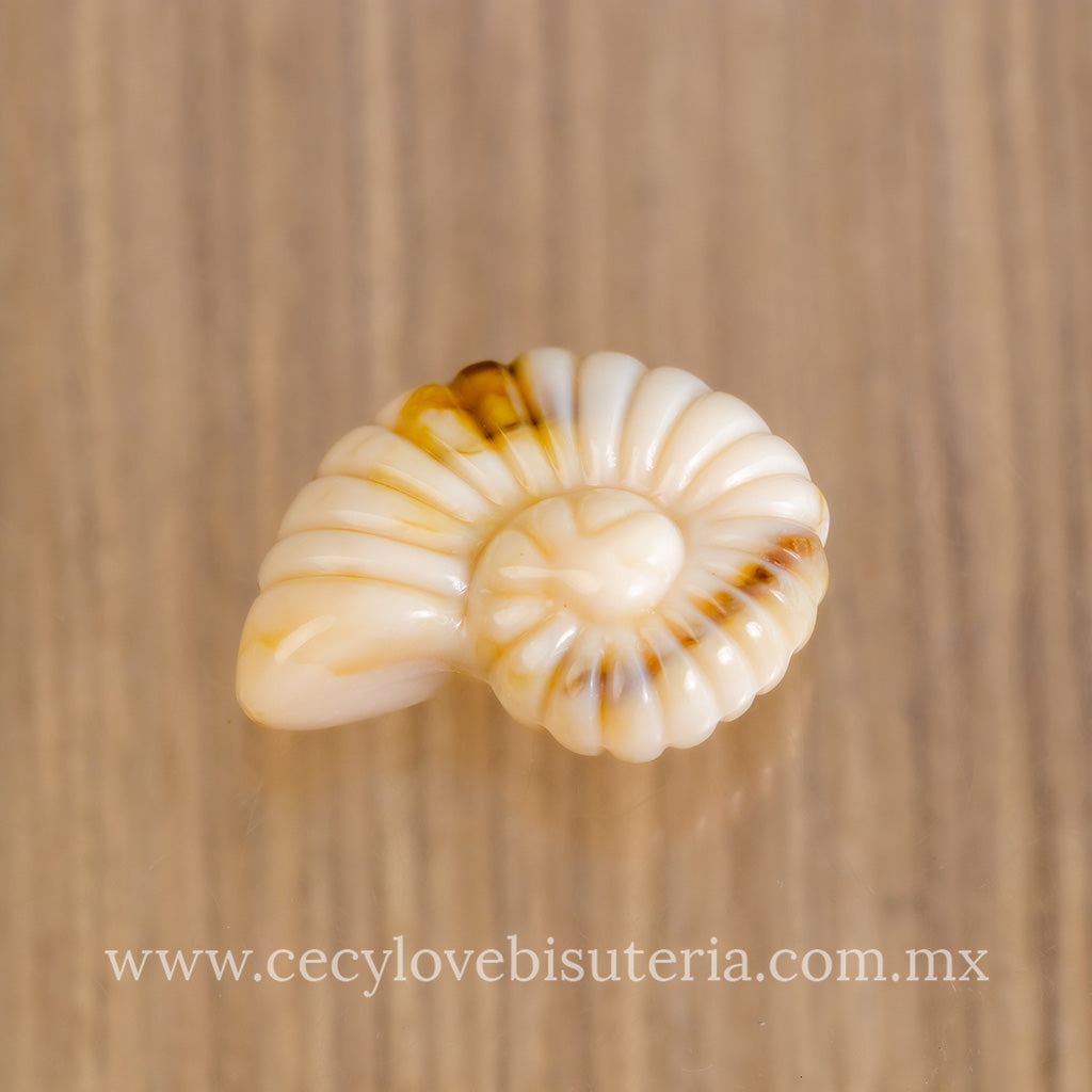 Caracol de Mar Acrílico Beige