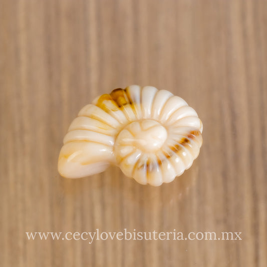 Caracol de Mar Acrílico Beige