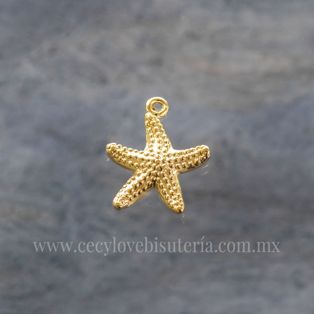 Dije Estrella de Mar